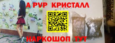 PSILOCYBIN Донской