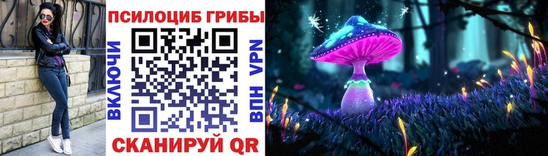 как найти закладки  Советск  Галлюциногенные грибы мицелий 