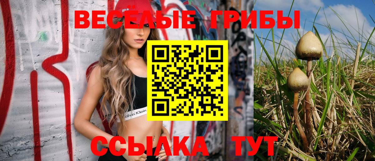 Псилоцибиновые грибы Psilocybe  Галлюциногенные грибы мухоморы  Вход с VPN  Советск 