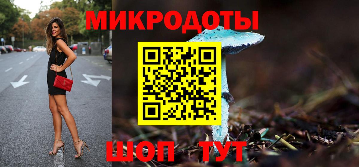 Псилоцибиновые грибы Cubensis Советск